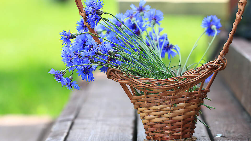 Christelle Cosmetics │ Looduskosmeetika