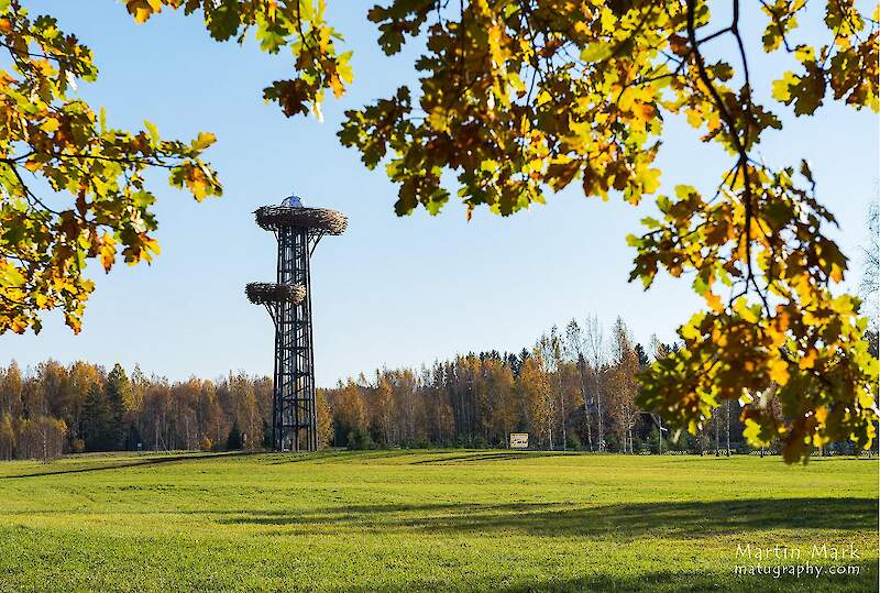 Велосипедные прогулки по куполообразному ландшафту Вырумаа